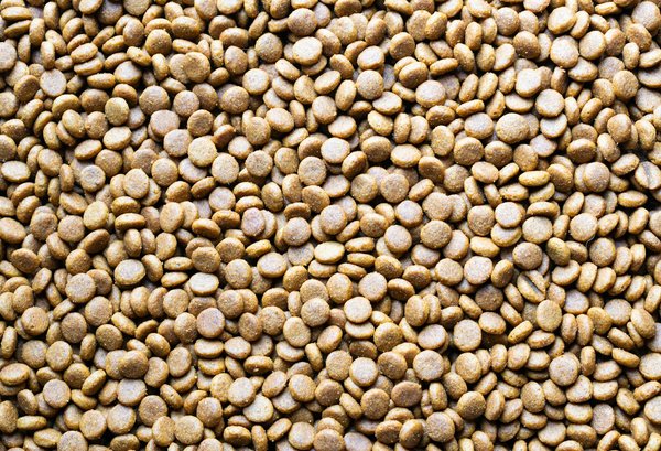 Comment gérer une grossesse avec un diagnostic de fibromyalgie?